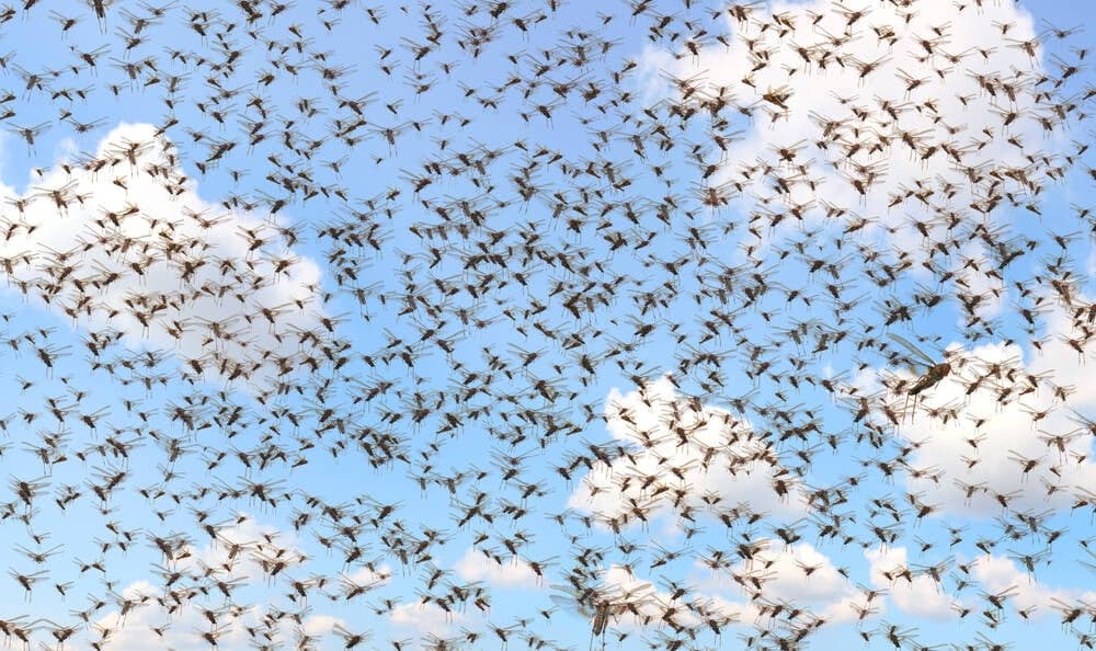 Microsoft's massive Patch Tuesday: It's raining bugs - theregister.com