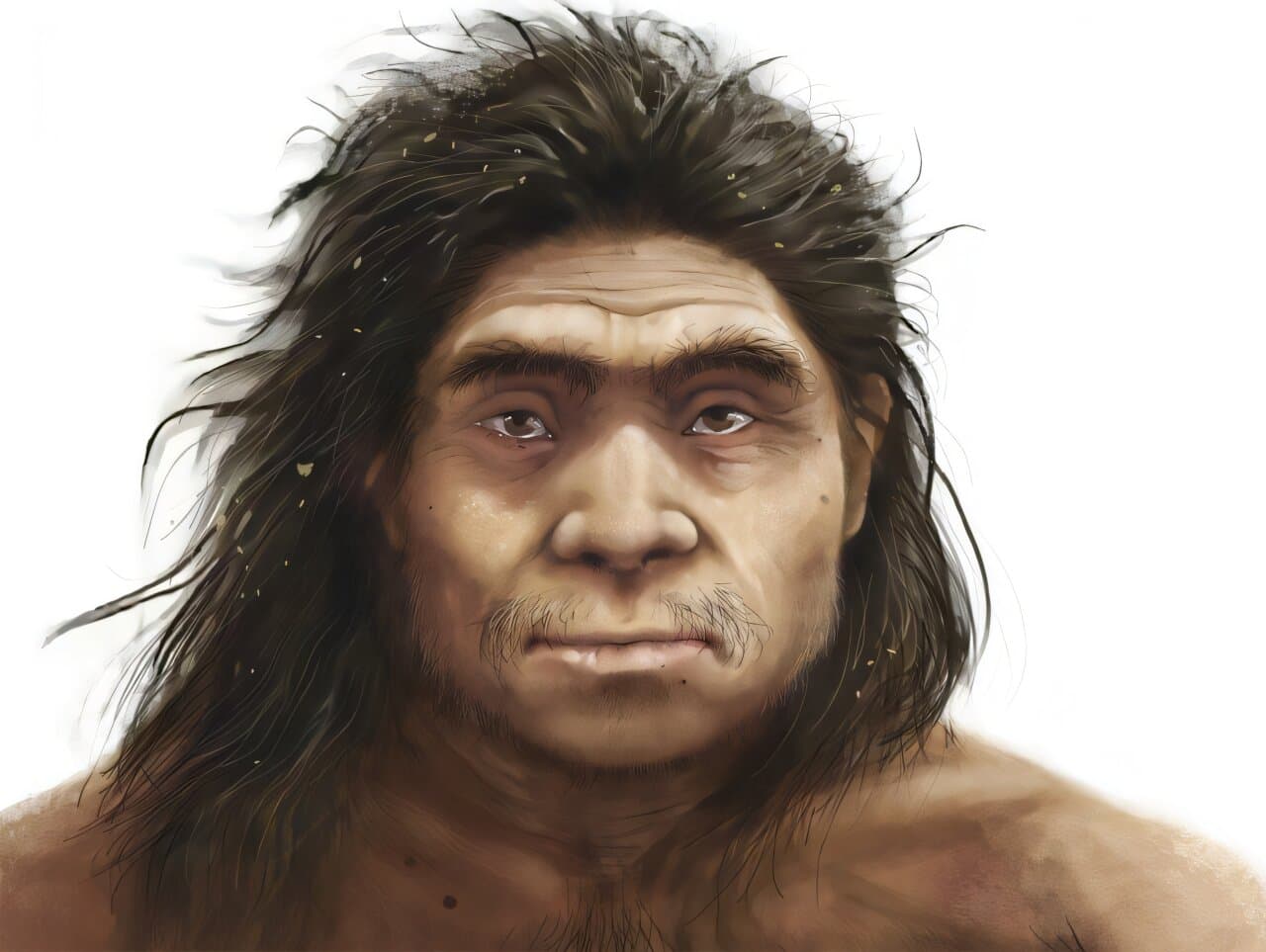 Rare fossils reveal what ancient Denisovans may have looked like - Phys.org