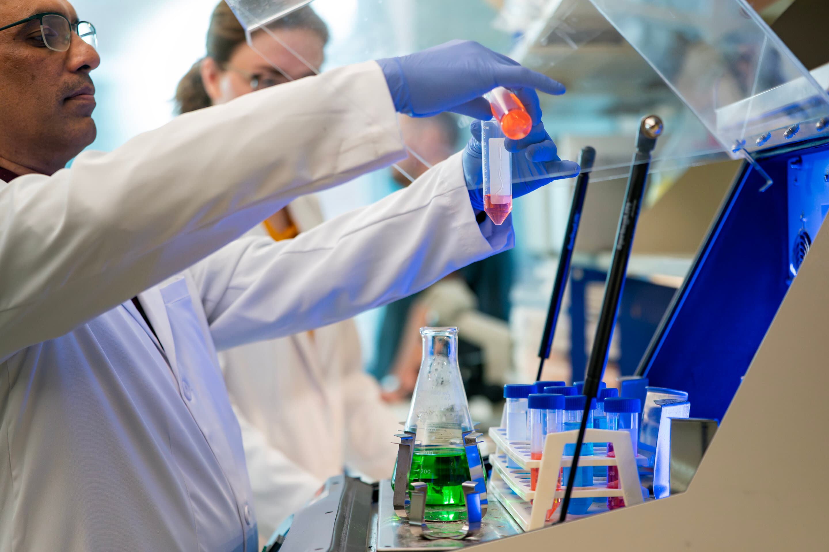 This nasal spray rewinds the aging brain, restoring memory and reversing inflammation in preclinical models - Phys.org